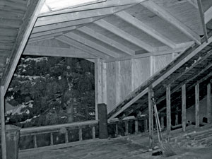 2008Spring.GreenHouseDormer