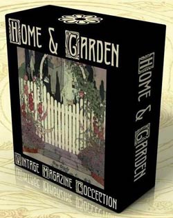 DVD cover.