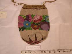 Goldstein purse.