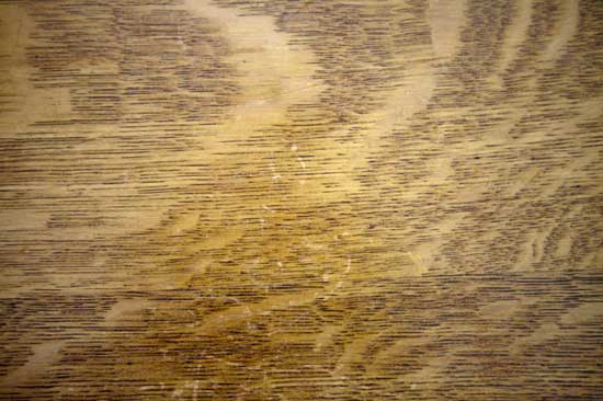 Close-up of Oak.