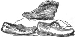 Old shoes.