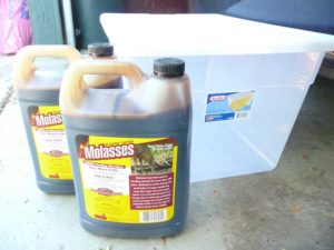 jugs of molasses