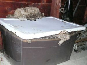 plastic bin of molasses.