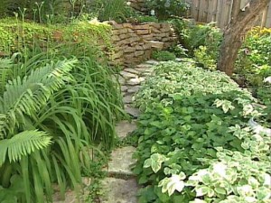 Garden path.