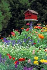 Drift garden.
