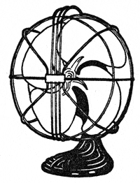 fan.