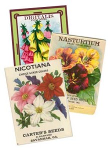 Seed packs.